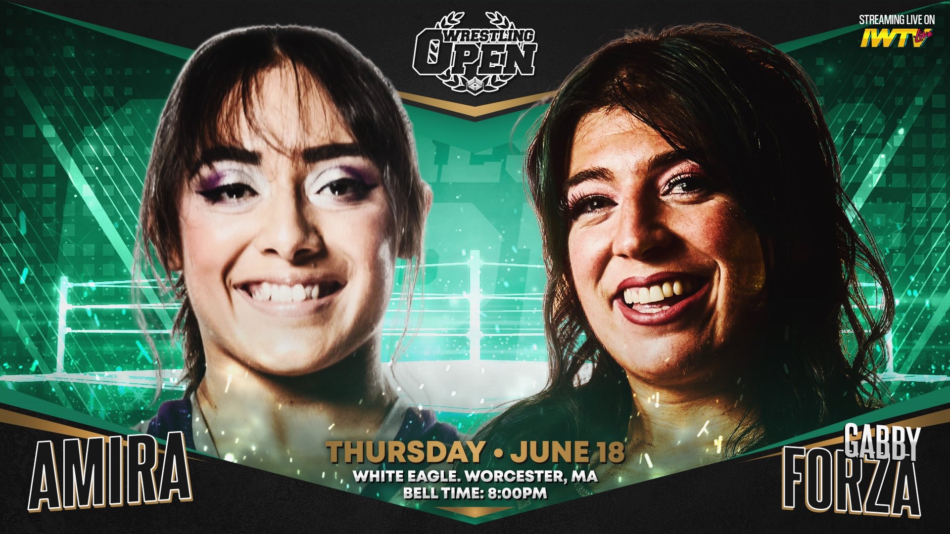 Wrestling Open: Episode 233 Results